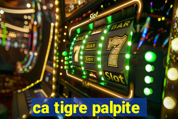 ca tigre palpite